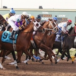 What are you doing this weekend?