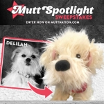 Your Dog Could Have Its Own Plush Toy in Miranda Lambert’s Collection!